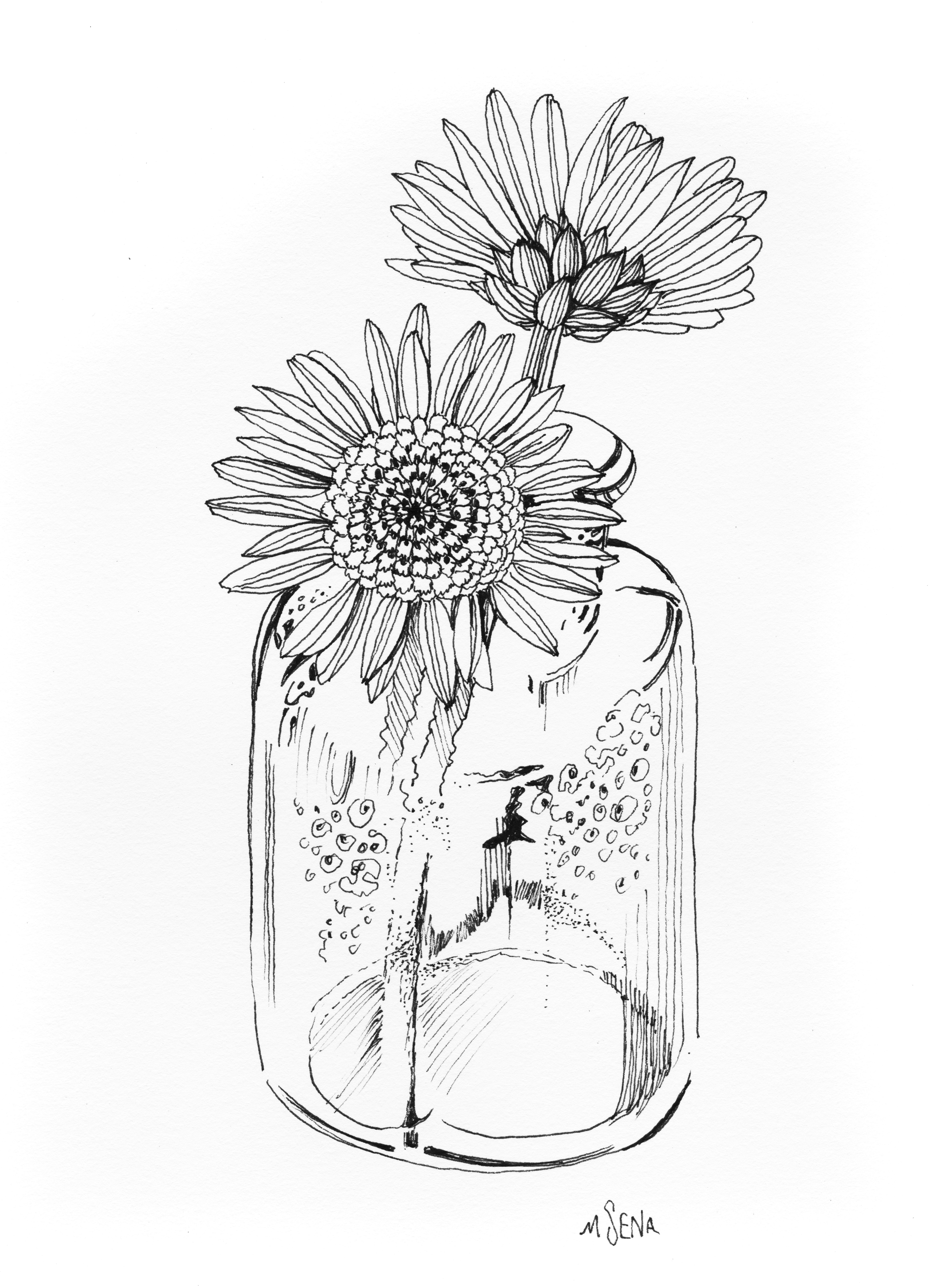 Doodle 85. Chrysanthemums in a Glass Vase. Drawn with .03 black marker by Miyuki Sena