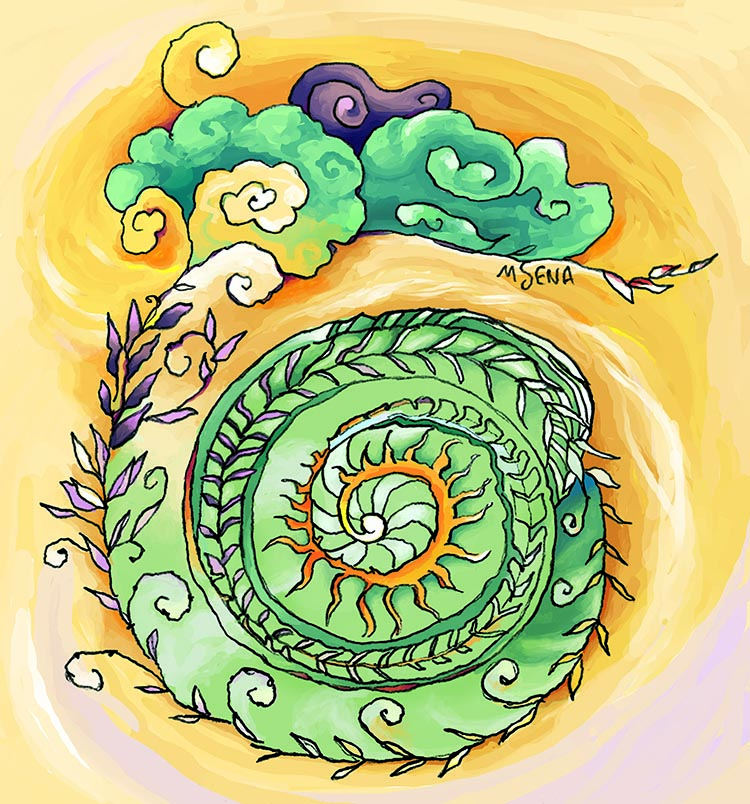 Pencil Doodle of snail shell, painted in Photoshop by Miyuki Sena