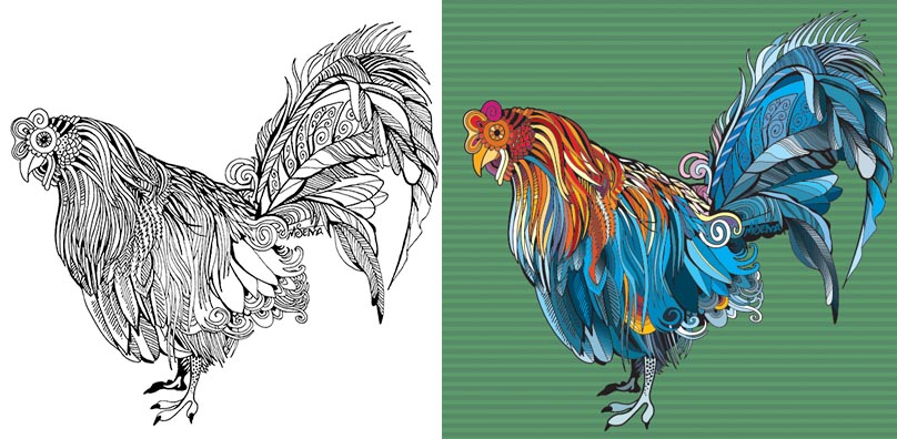 Doodle name Le Coq before and after