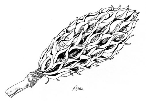 Pine Cone Doodle by Miyuki Sena